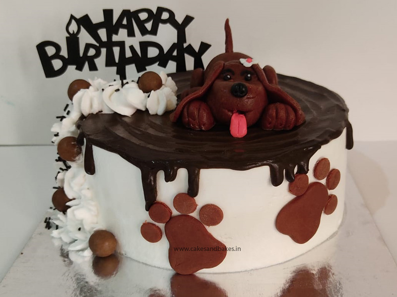 Celebrating Your Pet Dog's Birthday - Cakes and Bakes Stories