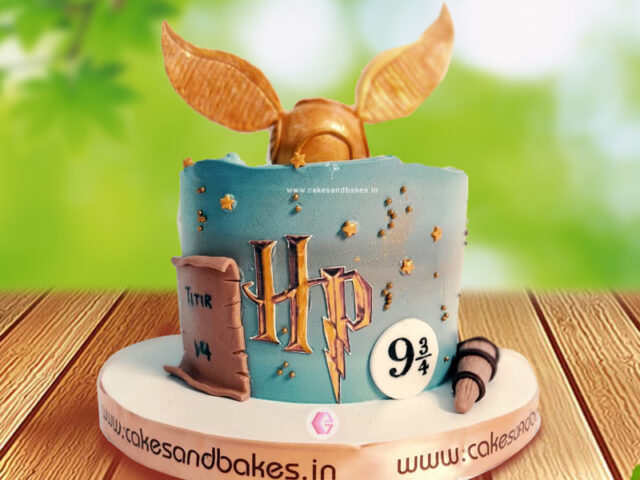 harry potter quidditch theme cake